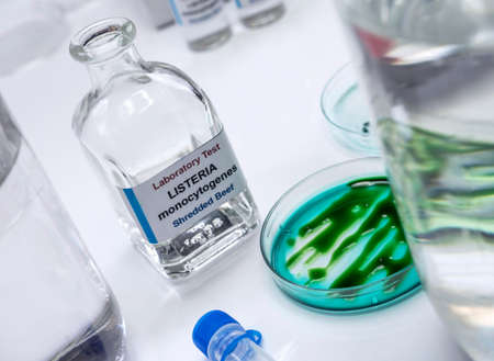 Samples you analyze of stuffed meat contaminated by bacterium of listeria in laboratory, sprout...