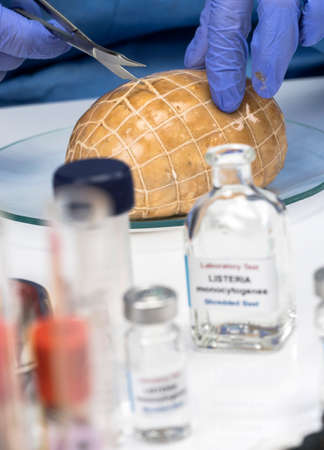 Expert analyzes stuffed meat contaminated by bacterium of listeria in laboratory, sprout caused in...