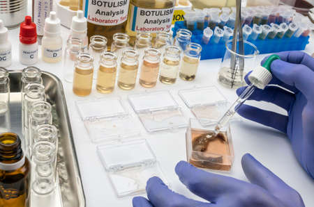 Experienced laboratory scientist analyzing a sample from a canned food can, botulism infection in...