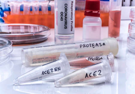 Several vials with soluble protease proteins for activation of the coronavirus severe acute...