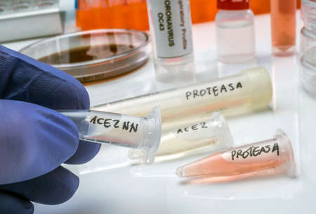 Several vials with soluble protease proteins for activation of the coronavirus severe acute...