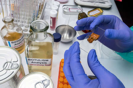 Experienced laboratory scientist analyzing a sample from a canned food can, botulism infection in...