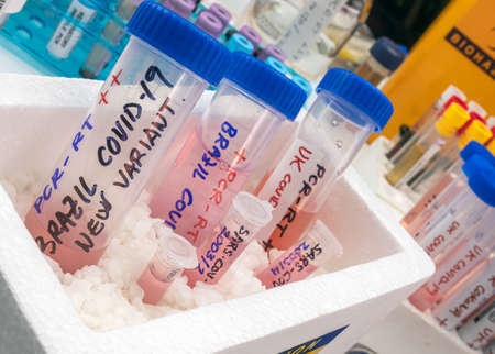 Several frozen vials testing positive for covid-19 infection of the new variant in the UK and...