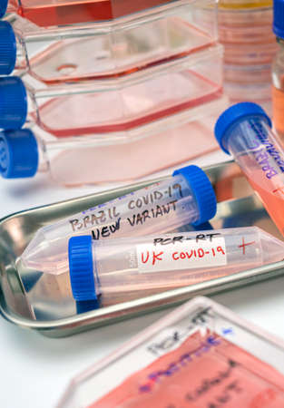 Several covid-19 positive research vials of the new Brazilian and UK variant in a laboratory,...