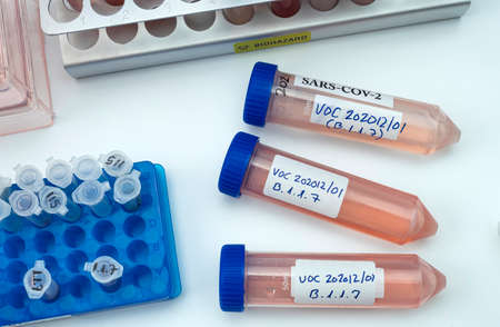 Laboratory research new strain of British sars-cov-2 scientifically named VOC 202012/01 (B.1.1.7), conceptual pictureの写真素材