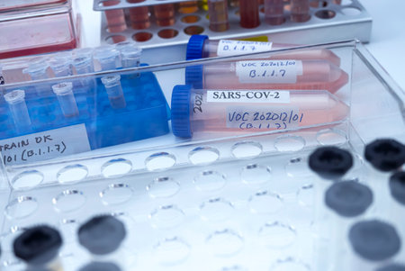 Laboratory research new strain of British sars-cov-2 scientifically named VOC 202012/01 (B.1.1.7), conceptual pictureの写真素材