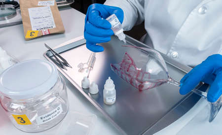 Police expert gets blood sample from a broken glass bottle in Criminalistic Lab, conceptual image