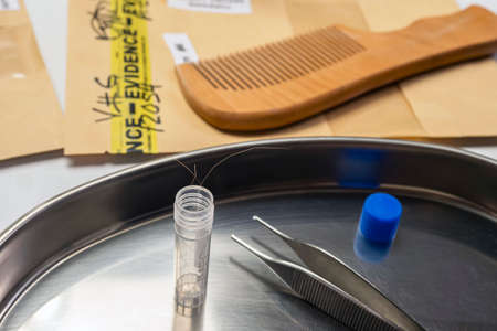 Criminalistic Laboratory, hair analysis, conceptual image