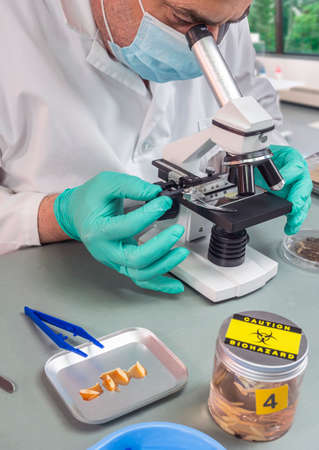 Forensic scientist analyses larvae from a cadaver in a murder case in crime lab, conceptual image