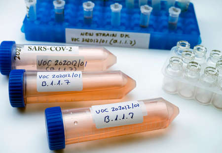 Laboratory research new strain of British sars-cov-2 scientifically named VOC 202012/01 (B.1.1.7),...