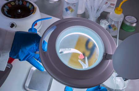 Police scientist cuts piece of bloodstained cloth in crime lab,の写真素材