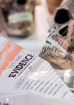 Skull of adult human next to an evidence bag in forensic laboratory, conceptual image.の写真素材