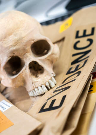 Skull of adult human next to an evidence bag in forensic laboratory, conceptual image.