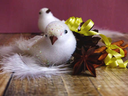 white bird and nature decorationの写真素材