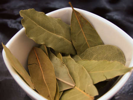 bay leaf, a spice necessary in the preparation of meat saucesの写真素材