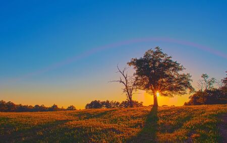majestic sunset over farmlandの写真素材