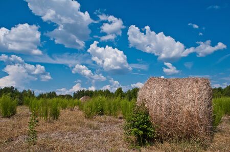 Late summer in the easley, sout carolina countryside sees large cumulonimbus cloudscapes, hay balesの写真素材