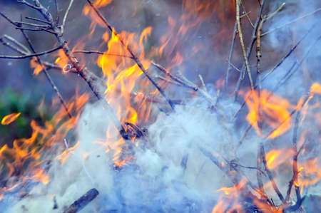 The start of a small Bonfire outside at night burning bright and hot with tall flamesの写真素材