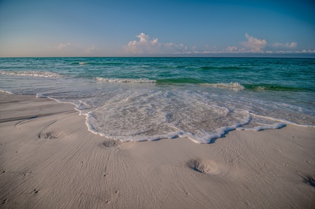 beach and tropical sea scene at gulf of mexico, florida sideの写真素材