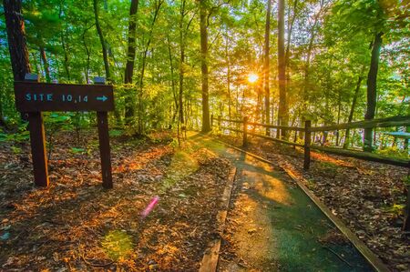 nature around upstate south carolina at lake jocassee gorge mountainsの写真素材