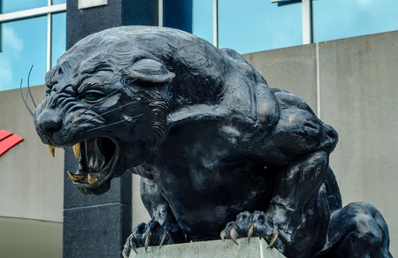 carolina panthers nfl football team mascotの写真素材