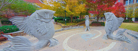 giant fish structures in the green park in charlotte uptownの写真素材