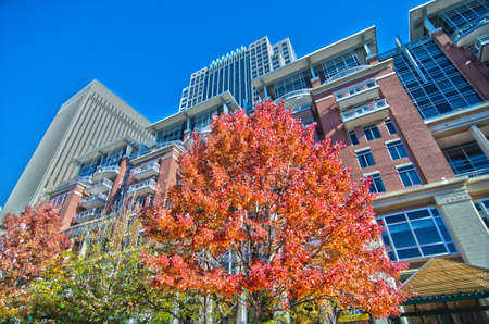 autumn view of charlotte  city skylineのeditorial素材
