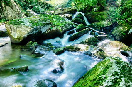 yellow creek falls great smoky mountainsの写真素材