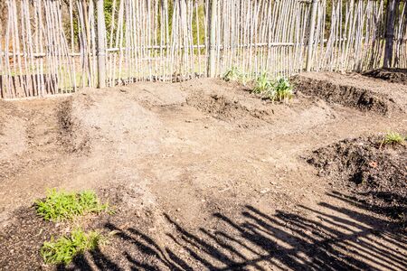 Small vegetable garden with risen beds in the fenced backyardの写真素材