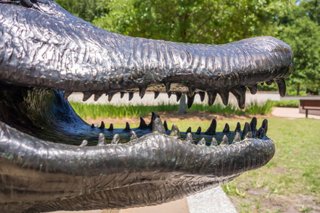 compass rose park in hilton head georgiaの写真素材