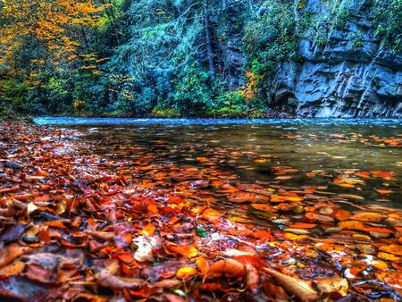 autumn drive on blue ridge parkway