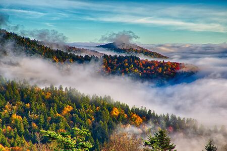 autumng season in the smoky mountains