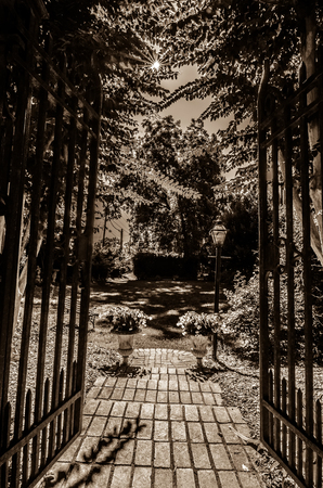 Classical design black wrought iron gate in a beautiful green gardenの写真素材