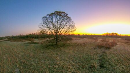 morning sunrise over frost covered farm landの写真素材