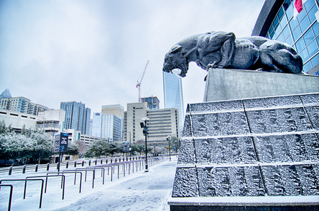 carolina panthers statue covered in snowのeditorial素材