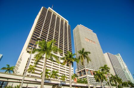 miami florida city skyline and streetsのeditorial素材