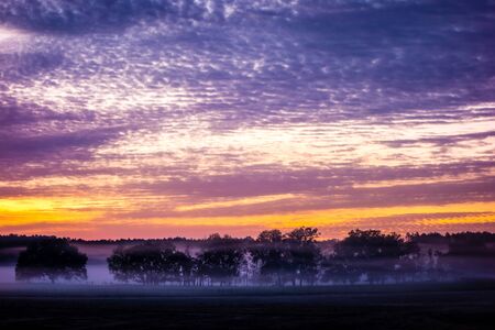 abstract sunrise landscape on the farm in floridaの写真素材