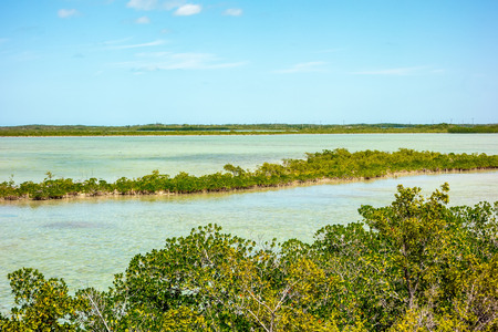 tranquil nature in florida keys