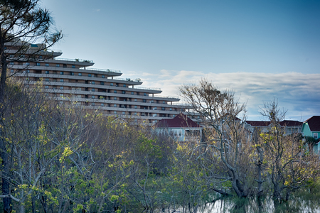 destin florida beach sceneryの写真素材