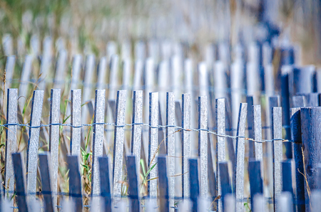 coastal beach scenes on kiawah island south carolina,の写真素材