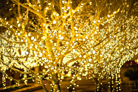 christmas lights and holiday decorations in the city