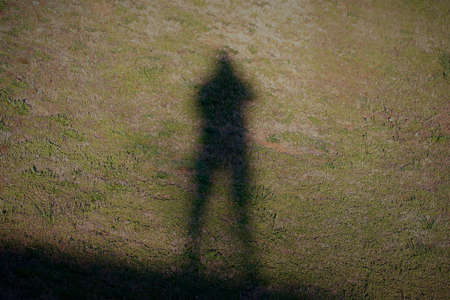 photographer shadow on green grss lawnの写真素材