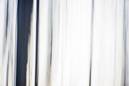 abstract digital painting of a thick and heavy wooded forest at sunsetの写真素材