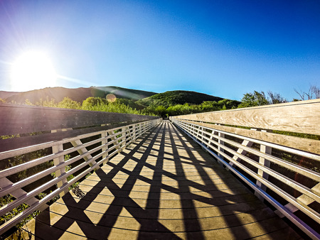 beach scenes at point reyes and muir beach california