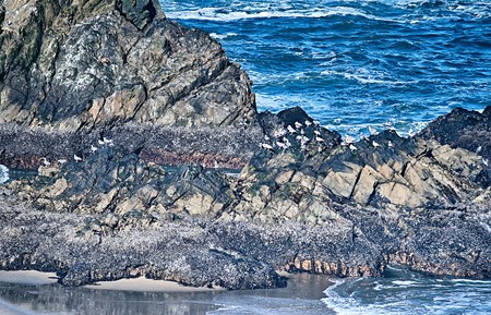 soberanes and cliffs on pacific ocean coast california