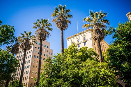 sacramento california city skyline and street viewsの写真素材
