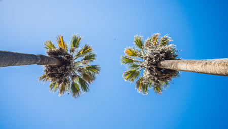 sacramento california city skyline and street viewsの写真素材