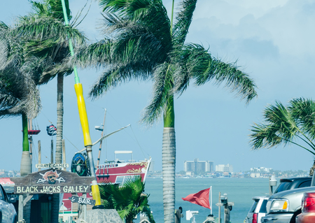 coastal landscape near padre island texasのeditorial素材