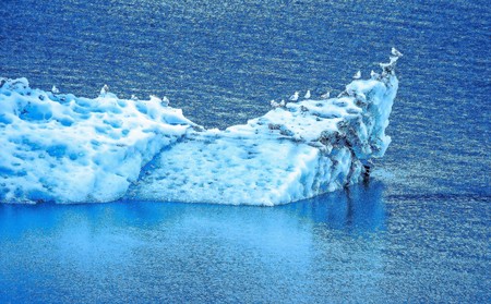 Icebergs from the North Sawyer Glacier in the Tracy Arm in Alaskaの写真素材
