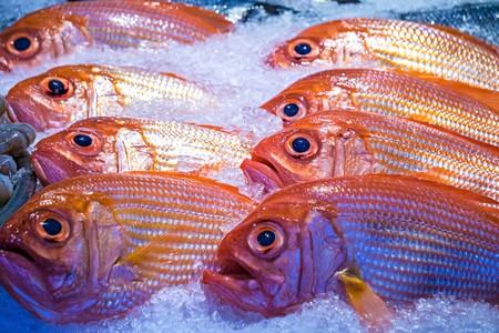 Fresh fish on ice for sale at Pike Place Market in Seattleの写真素材